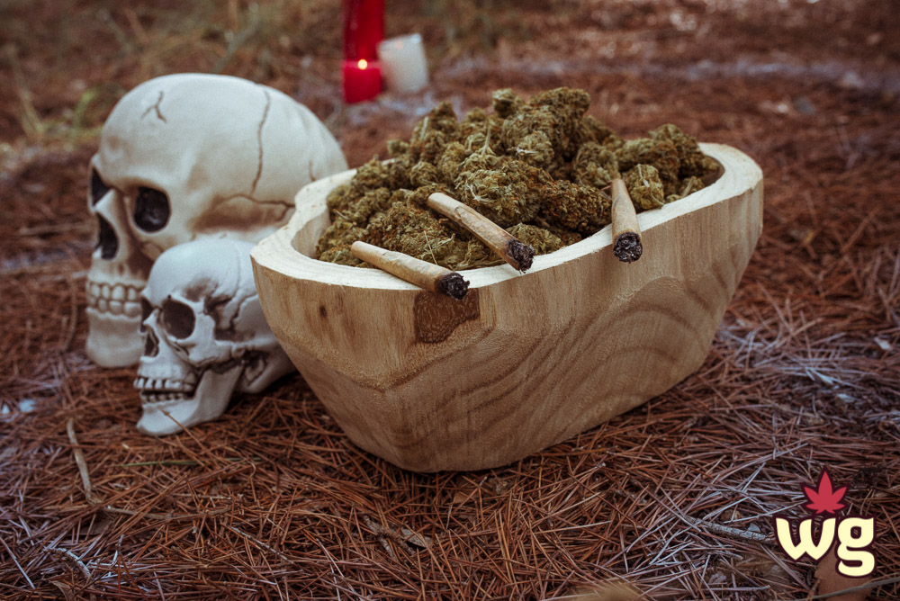 Halloween and cannabis culture