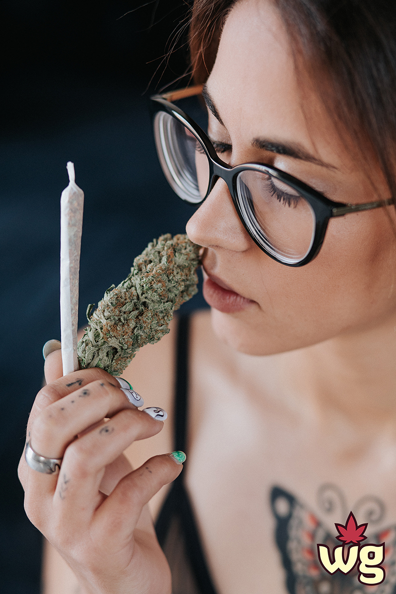 Woman loves cannabis bud