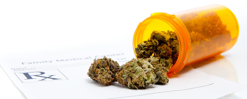 1000 x 400 banner MARIJUANA VS PHARMACEUTIC (1)